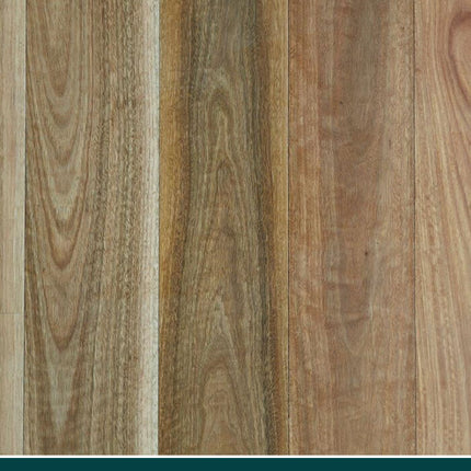 80X19X600 SELECT NSW SPOTTED GUM FLOORING