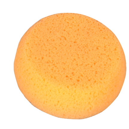 Hydra Sponge