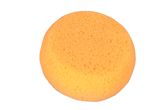 Hydra Sponge