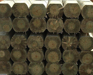 Collection image for: SLABS