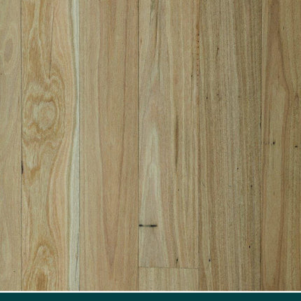 80X19X2400 SELECT NEW ENGLAND BLACKBUTT FLOORING