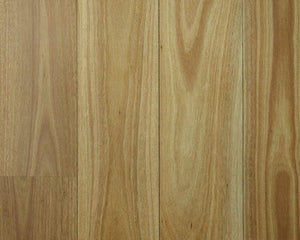 Collection image for: BLACKBUTT FLOORING