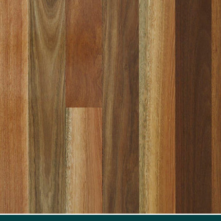 80X19X600 FEATURE QUEENSLAND SPOTTED GUM FLOORING