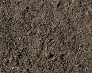 Collection image for: SOILS