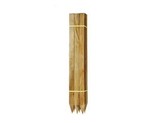 Collection image for: TIMBER PEGS