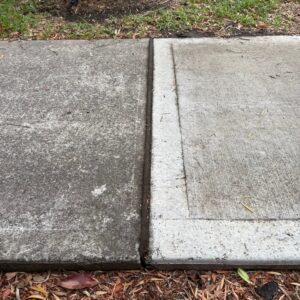 Concrete Expansion Joint Filler – 100mm (Jointex) For Slabs, Paths & Pavements
