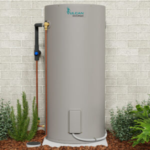 HWS Elec Vulcan Duomax Dual – 3.6kW 250L LF