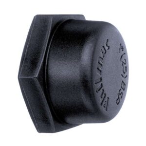 Philmac BSP Threaded Pipe Cap Poly 2 inch