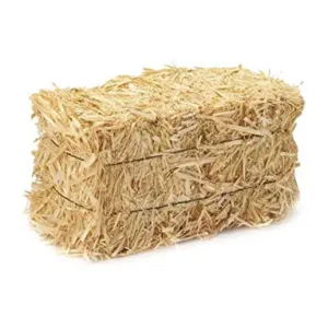 Straw Hay Bale