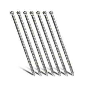 Bullet Head Nails Galvanised – 50 x 2.8mm (5kg Trade Pack)
