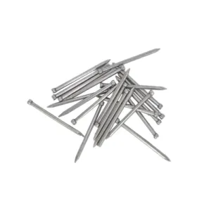 Bullet Head Nails Bright Steel – 65 x 2.8mm (5kg Trade Pack)