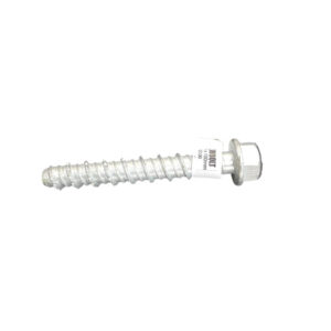 10mm x 100mm Galv Screwbolt Anchor