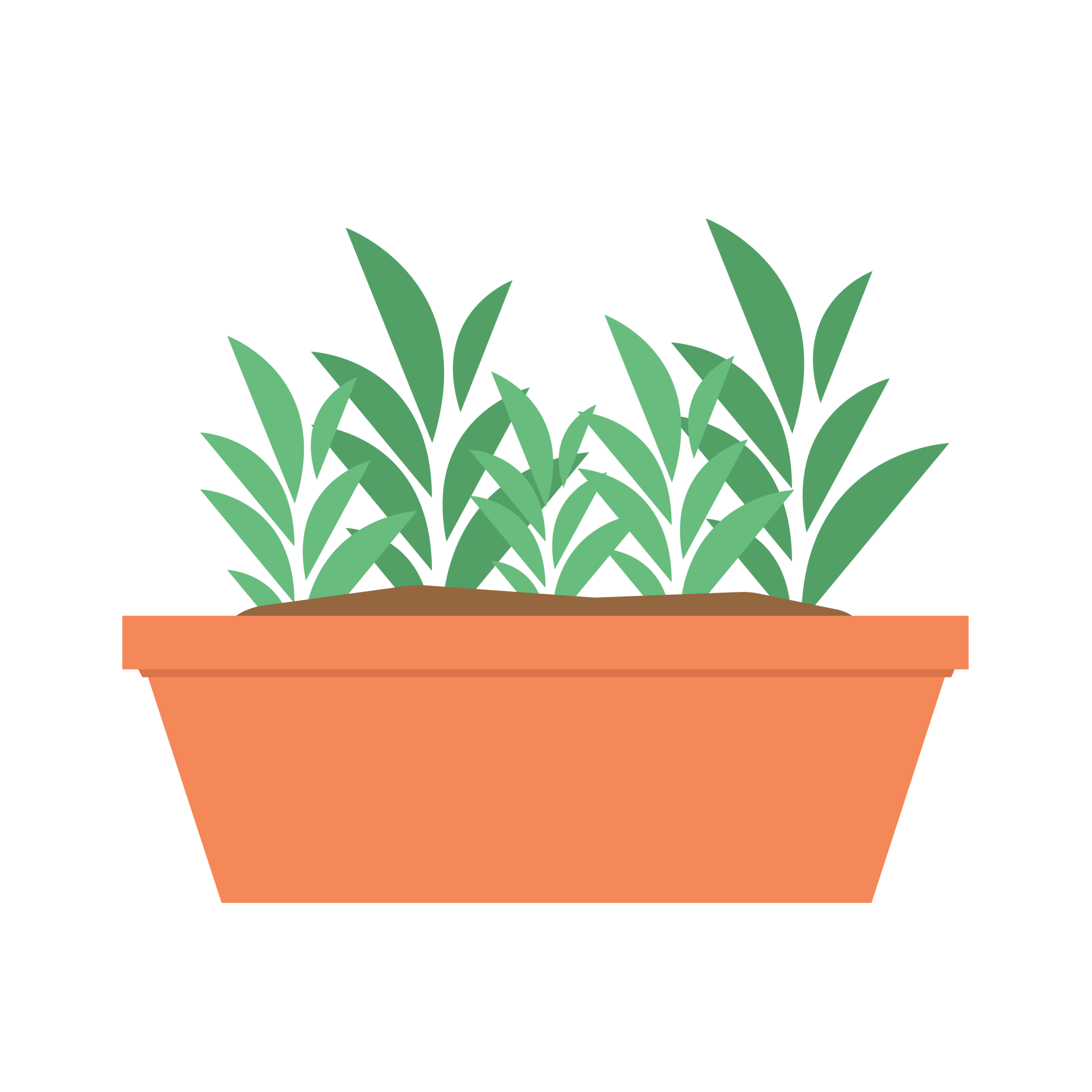Garden Supplies & Maintenance
