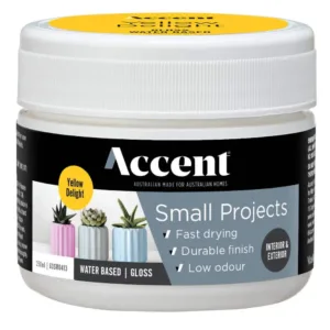 Accent Small Projects Water Based Gloss 250mL