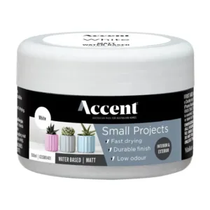 Accent Small Projects Water Based Matt 100mL