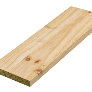 Treated Pine Paling 100x16x1500