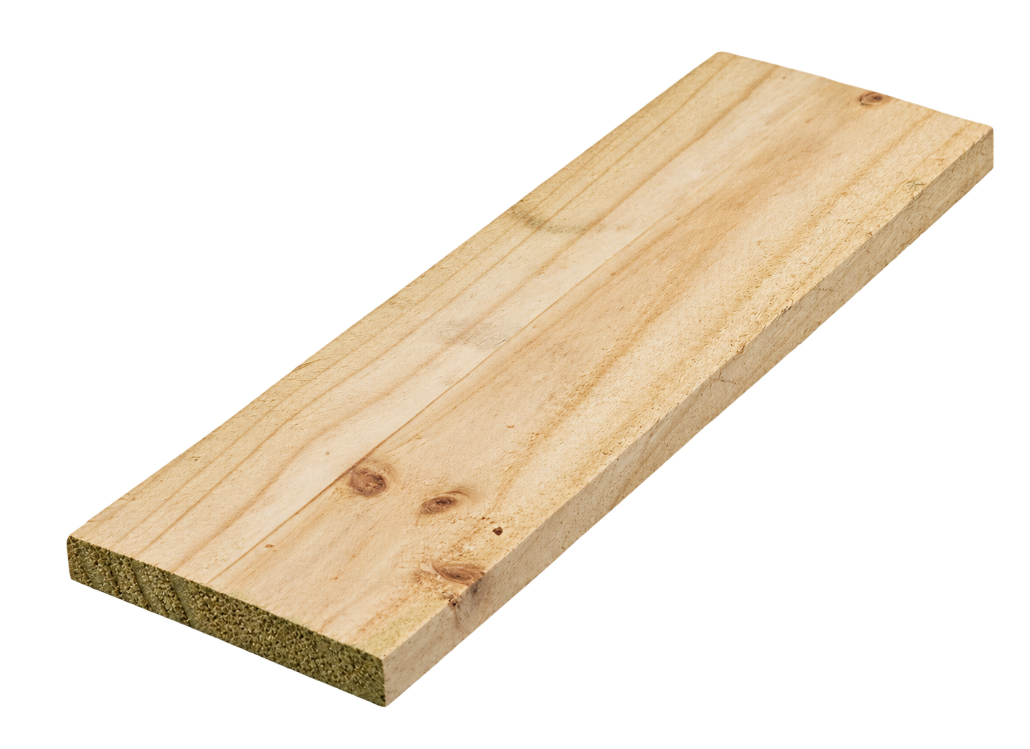 Treated Pine Paling 100x16x2100