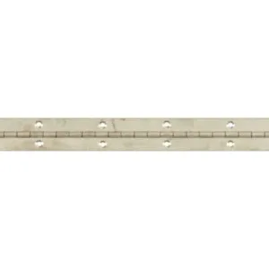 Trio Continuous Hinge 31 x 600mm Stainless Steel