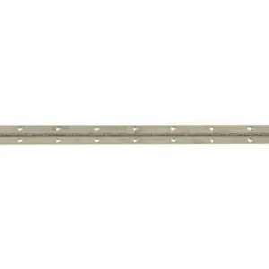 Trio Continuous Hinge 31mm x 1m Stainless Steel