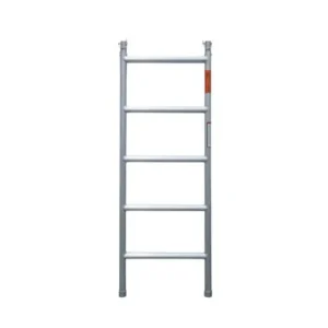 2.0M Five Rung Narrow Frame